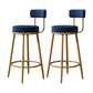 Glam Armless Backrest Counter Stool Iron Household Bar Stool with Velvet Cushion Blue 2 Piece Set Clearhalo 'Bar Furniture' 'Bar Stools' 'bar_stools' 'furn' 'furn_bar_stools' 'furniture_bar_stools' 'Kitchen & Dining Furniture' 'kitchen&dining_furn' 'kitchen' 'kitchen_furn' Furniture' 4297043