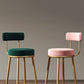 Glam Armless Backrest Counter Stool Iron Household Bar Stool with Velvet Cushion Clearhalo 'Bar Furniture' 'Bar Stools' 'bar_stools' 'furn' 'furn_bar_stools' 'furniture_bar_stools' 'Kitchen & Dining Furniture' 'kitchen&dining_furn' 'kitchen' 'kitchen_furn' Furniture' 4297044