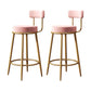 Glam Armless Backrest Counter Stool Iron Household Bar Stool with Velvet Cushion Pink 2 Piece Set Clearhalo 'Bar Furniture' 'Bar Stools' 'bar_stools' 'furn' 'furn_bar_stools' 'furniture_bar_stools' 'Kitchen & Dining Furniture' 'kitchen&dining_furn' 'kitchen' 'kitchen_furn' Furniture' 4297054