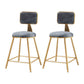 Glam Armless Counter Stool Iron Household Bar Stool with Cushion and Pedal Grey 2 Piece Set Short Stool(18"H) Clearhalo 'Bar Furniture' 'Bar Stools' 'bar_stools' 'furn' 'furn_bar_stools' 'furniture_bar_stools' 'Kitchen & Dining Furniture' 'kitchen&dining_furn' 'kitchen' 'kitchen_furn' Furniture' 4297470