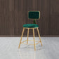 Glam Armless Counter Stool Iron Household Bar Stool with Cushion and Pedal Green 1 Piece Short Stool(18"H) Clearhalo 'Bar Furniture' 'Bar Stools' 'bar_stools' 'furn' 'furn_bar_stools' 'furniture_bar_stools' 'Kitchen & Dining Furniture' 'kitchen&dining_furn' 'kitchen' 'kitchen_furn' Furniture' 4297473