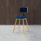 Glam Armless Counter Stool Iron Household Bar Stool with Cushion and Pedal Blue 1 Piece Short Stool(18"H) Clearhalo 'Bar Furniture' 'Bar Stools' 'bar_stools' 'furn' 'furn_bar_stools' 'furniture_bar_stools' 'Kitchen & Dining Furniture' 'kitchen&dining_furn' 'kitchen' 'kitchen_furn' Furniture' 4297479