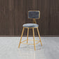 Glam Armless Counter Stool Iron Household Bar Stool with Cushion and Pedal Grey 1 Piece Short Stool(18"H) Clearhalo 'Bar Furniture' 'Bar Stools' 'bar_stools' 'furn' 'furn_bar_stools' 'furniture_bar_stools' 'Kitchen & Dining Furniture' 'kitchen&dining_furn' 'kitchen' 'kitchen_furn' Furniture' 4297480