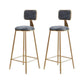Glam Armless Counter Stool Iron Household Bar Stool with Cushion and Pedal Grey 2 Piece Set Counter Stool(26"H) Clearhalo 'Bar Furniture' 'Bar Stools' 'bar_stools' 'furn' 'furn_bar_stools' 'furniture_bar_stools' 'Kitchen & Dining Furniture' 'kitchen&dining_furn' 'kitchen' 'kitchen_furn' Furniture' 4297491