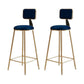 Glam Armless Counter Stool Iron Household Bar Stool with Cushion and Pedal Blue 2 Piece Set Counter Stool(26"H) Clearhalo 'Bar Furniture' 'Bar Stools' 'bar_stools' 'furn' 'furn_bar_stools' 'furniture_bar_stools' 'Kitchen & Dining Furniture' 'kitchen&dining_furn' 'kitchen' 'kitchen_furn' Furniture' 4297497
