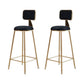 Glam Armless Counter Stool Iron Household Bar Stool with Cushion and Pedal Black 2 Piece Set Counter Stool(26"H) Clearhalo 'Bar Furniture' 'Bar Stools' 'bar_stools' 'furn' 'furn_bar_stools' 'furniture_bar_stools' 'Kitchen & Dining Furniture' 'kitchen&dining_furn' 'kitchen' 'kitchen_furn' Furniture' 4297503
