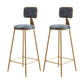 Glam Armless Counter Stool Iron Household Bar Stool with Cushion and Pedal Grey 2 Piece Set Bar Stool(30"H) Clearhalo 'Bar Furniture' 'Bar Stools' 'bar_stools' 'furn' 'furn_bar_stools' 'furniture_bar_stools' 'Kitchen & Dining Furniture' 'kitchen&dining_furn' 'kitchen' 'kitchen_furn' Furniture' 4297509
