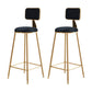 Glam Armless Counter Stool Iron Household Bar Stool with Cushion and Pedal Black 2 Piece Set Bar Stool(30"H) Clearhalo 'Bar Furniture' 'Bar Stools' 'bar_stools' 'furn' 'furn_bar_stools' 'furniture_bar_stools' 'Kitchen & Dining Furniture' 'kitchen&dining_furn' 'kitchen' 'kitchen_furn' Furniture' 4297514