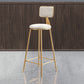 Glam Armless Counter Stool Iron Household Bar Stool with Cushion and Pedal White 1 Piece Bar Stool(30"H) Clearhalo 'Bar Furniture' 'Bar Stools' 'bar_stools' 'furn' 'furn_bar_stools' 'furniture_bar_stools' 'Kitchen & Dining Furniture' 'kitchen&dining_furn' 'kitchen' 'kitchen_furn' Furniture' 4297516