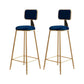 Glam Armless Counter Stool Iron Household Bar Stool with Cushion and Pedal Blue 2 Piece Set Bar Stool(30"H) Clearhalo 'Bar Furniture' 'Bar Stools' 'bar_stools' 'furn' 'furn_bar_stools' 'furniture_bar_stools' 'Kitchen & Dining Furniture' 'kitchen&dining_furn' 'kitchen' 'kitchen_furn' Furniture' 4297523