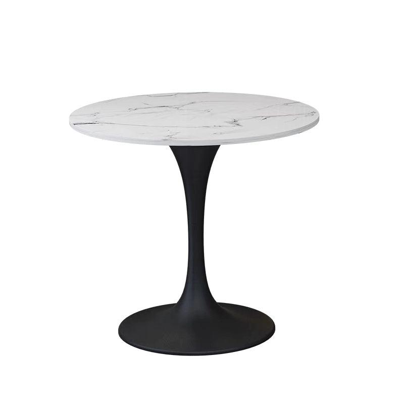 Modern 1/2/5 Pieces Sintered Stone Dining Set Dining Furniture Set /Separate Items White 31"L x 31"W Clearhalo 'Dining Room Sets' 'Dining Tables & Seating' 'dining_room_set' 'furn' 'furn_dining_room_set' 'Furniture' 'furniture_dining_room_set' 'Kitchen & Dining Furniture' 'kitchen&dining_furn' 'kitchen' 4303885