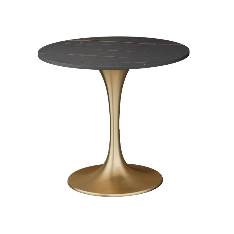 Modern 1/2/5 Pieces Sintered Stone Dining Set Dining Furniture Set /Separate Items Black 31"L x 31"W Clearhalo 'Dining Room Sets' 'Dining Tables & Seating' 'dining_room_set' 'furn' 'furn_dining_room_set' 'Furniture' 'furniture_dining_room_set' 'Kitchen & Dining Furniture' 'kitchen&dining_furn' 'kitchen' 4303887