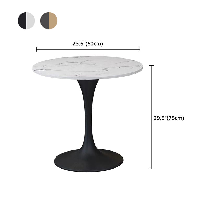 Modern 1/2/5 Pieces Sintered Stone Dining Set Dining Furniture Set /Separate Items Clearhalo 'Dining Room Sets' 'Dining Tables & Seating' 'dining_room_set' 'furn' 'furn_dining_room_set' 'Furniture' 'furniture_dining_room_set' 'Kitchen & Dining Furniture' 'kitchen&dining_furn' 'kitchen' 4303896