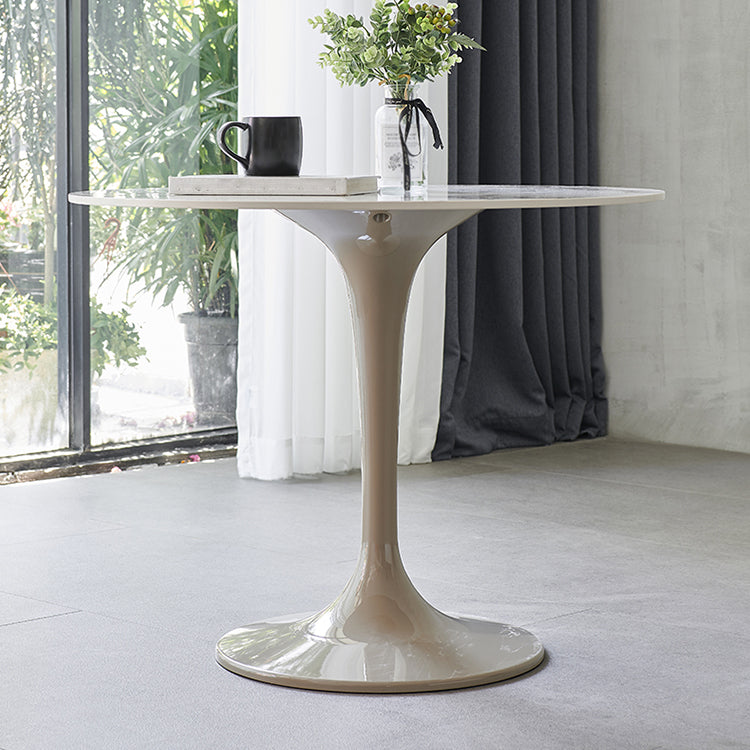 Modern 1/3/4/5 Pieces Sintered Stone Dining Set Dining Furniture Set /Separate Items Clearhalo 'Dining Room Sets' 'Dining Tables & Seating' 'dining_room_set' 'furn' 'furn_dining_room_set' 'Furniture' 'furniture_dining_room_set' 'Kitchen & Dining Furniture' 'kitchen&dining_furn' 'kitchen' 4313471