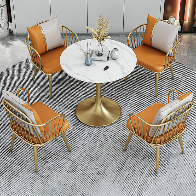 Glam 1/2/3/4/5 Pieces Sintered Stone Dining Set Dining Furniture Set /Separate Items Clearhalo 'Dining Room Sets' 'Dining Tables & Seating' 'dining_room_set' 'furn' 'furn_dining_room_set' 'Furniture' 'furniture_dining_room_set' 'Kitchen & Dining Furniture' 'kitchen&dining_furn' 'kitchen' 4313609