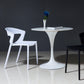 Contemporary Style Plastic Dining Chair Dining Armless Side Chairs for Kitchen Clearhalo ' kitchen&dining_furn' 'Dining Chairs' 'Dining Tables & Seating' 'dining_chair' 'furn' 'furn_dining_chair' 'Furniture' 'furniture_dining_chair' 'Kitchen & Dining Furniture' 'kitchen' 4315195