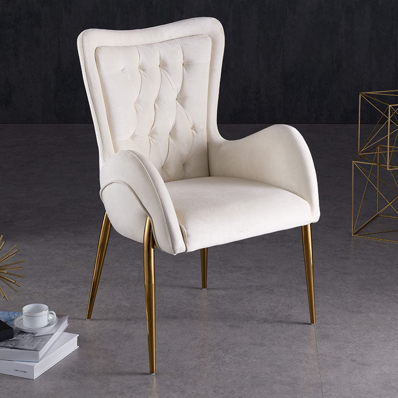 Modern Metal Dining Room Chair Velvet Side Arm Chair for Restaurant Use Clearhalo ' kitchen&dining_furn' 'Dining Chairs' 'Dining Tables & Seating' 'dining_chair' 'furn' 'furn_dining_chair' 'Furniture' 'furniture_dining_chair' 'Kitchen & Dining Furniture' 'kitchen' 4315460