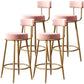 Nordic Velvet Cushion Barstool Gold 4 Legs Bar Stool for Indoor Pink 4 Piece Set Clearhalo 'Bar Furniture' 'Bar Stools' 'bar_stools' 'furn' 'furn_bar_stools' 'furniture_bar_stools' 'Kitchen & Dining Furniture' 'kitchen&dining_furn' 'kitchen' 'kitchen_furn' Furniture' 4321497
