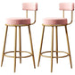Nordic Velvet Cushion Barstool Gold 4 Legs Bar Stool for Indoor Pink 2 Piece Set Clearhalo 'Bar Furniture' 'Bar Stools' 'bar_stools' 'furn' 'furn_bar_stools' 'furniture_bar_stools' 'Kitchen & Dining Furniture' 'kitchen&dining_furn' 'kitchen' 'kitchen_furn' Furniture' 4321498