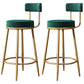 Nordic Velvet Cushion Barstool Gold 4 Legs Bar Stool for Indoor Green 2 Piece Set Clearhalo 'Bar Furniture' 'Bar Stools' 'bar_stools' 'furn' 'furn_bar_stools' 'furniture_bar_stools' 'Kitchen & Dining Furniture' 'kitchen&dining_furn' 'kitchen' 'kitchen_furn' Furniture' 4321509
