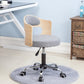 Modern Rotatable Backrest Counter Stool Steel Household Bar Stool with Pulley and Cushion Clearhalo 'Bar Furniture' 'Bar Stools' 'bar_stools' 'furn' 'furn_bar_stools' 'furniture_bar_stools' 'Kitchen & Dining Furniture' 'kitchen&dining_furn' 'kitchen' 'kitchen_furn' Furniture' 4329376