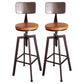 Industrial Iron Bar Stools with Footrest Adjustable Height Rotation Barstool Bronze With Back 2 Piece Set Clearhalo 'Bar Furniture' 'Bar Stools' 'bar_stools' 'furn' 'furn_bar_stools' 'furniture_bar_stools' 'Kitchen & Dining Furniture' 'kitchen&dining_furn' 'kitchen' 'kitchen_furn' Furniture' 4329551