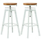Industrial Iron Bar Stools with Footrest Adjustable Height Rotation Barstool White Backless 2 Piece Set Clearhalo 'Bar Furniture' 'Bar Stools' 'bar_stools' 'furn' 'furn_bar_stools' 'furniture_bar_stools' 'Kitchen & Dining Furniture' 'kitchen&dining_furn' 'kitchen' 'kitchen_furn' Furniture' 4329555