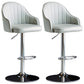Indoor Modern Leather Barstool Rotating Lifting Bar Stool with Armrests Light Gray Silver 2 Piece Set Clearhalo 'Bar Furniture' 'Bar Stools' 'bar_stools' 'furn' 'furn_bar_stools' 'furniture_bar_stools' 'Kitchen & Dining Furniture' 'kitchen&dining_furn' 'kitchen' 'kitchen_furn' Furniture' 4329785
