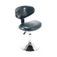 Scandinavian Adjustable Height Leather Counter Stools Swivel Silver Low Back Bar Stools Blackish Green 1 Piece Clearhalo 'Bar Furniture' 'Bar Stools' 'bar_stools' 'furn' 'furn_bar_stools' 'furniture_bar_stools' 'Kitchen & Dining Furniture' 'kitchen&dining_furn' 'kitchen' 'kitchen_furn' Furniture' 4330218