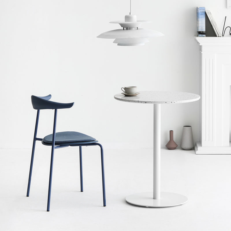 Industrial Open Back Dining Side Chair Matte Finish Armless Dining Side Chairs Clearhalo ' kitchen&dining_furn' 'Dining Chairs' 'Dining Tables & Seating' 'dining_chair' 'furn' 'furn_dining_chair' 'Furniture' 'furniture_dining_chair' 'Kitchen & Dining Furniture' 'kitchen' 4330525