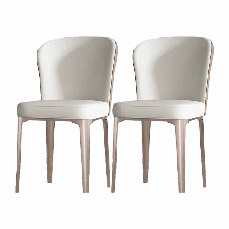 Contemporary Style Dining Chairs Metal Armless Side Parsons Chairs for Kitchen Light Gray 2 Piece Set Clearhalo ' kitchen&dining_furn' 'Dining Chairs' 'Dining Tables & Seating' 'dining_chair' 'furn' 'furn_dining_chair' 'Furniture' 'furniture_dining_chair' 'Kitchen & Dining Furniture' 'kitchen' 4331128