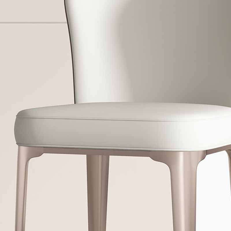 Contemporary Style Dining Chairs Metal Armless Side Parsons Chairs for Kitchen Clearhalo ' kitchen&dining_furn' 'Dining Chairs' 'Dining Tables & Seating' 'dining_chair' 'furn' 'furn_dining_chair' 'Furniture' 'furniture_dining_chair' 'Kitchen & Dining Furniture' 'kitchen' 4331135