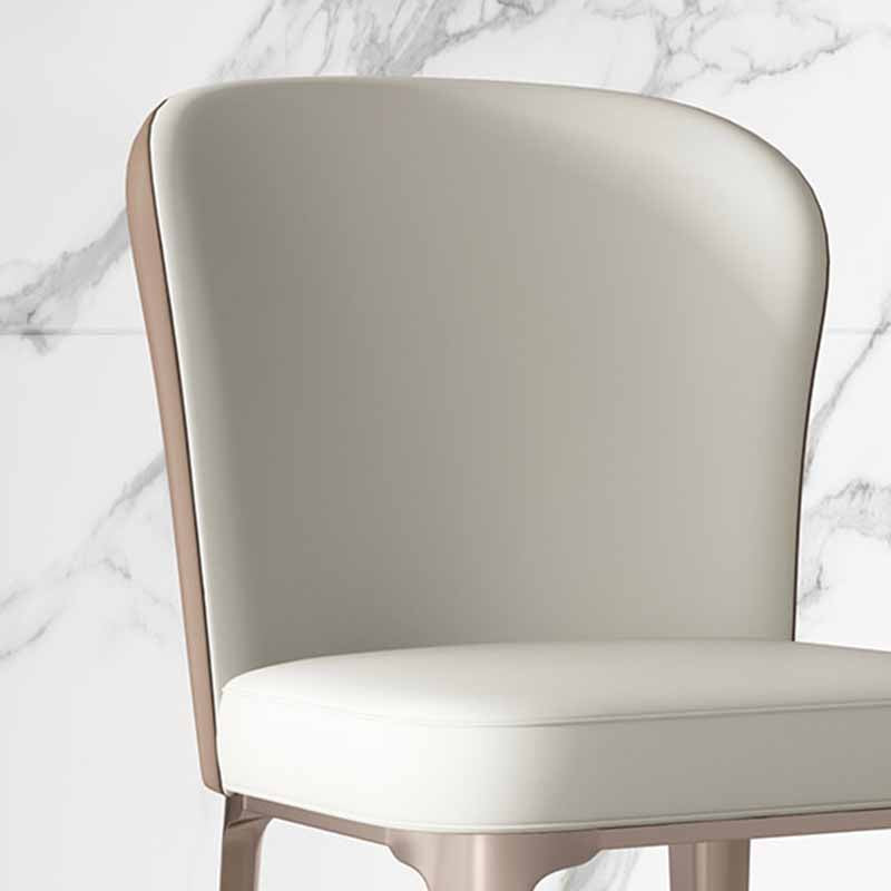 Contemporary Style Dining Chairs Metal Armless Side Parsons Chairs for Kitchen Clearhalo ' kitchen&dining_furn' 'Dining Chairs' 'Dining Tables & Seating' 'dining_chair' 'furn' 'furn_dining_chair' 'Furniture' 'furniture_dining_chair' 'Kitchen & Dining Furniture' 'kitchen' 4331136