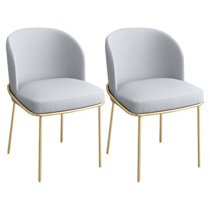 Dining Room Metal Scandinavian Dining Chair Wingback Cushioned Armless Chair Grey 2 Piece Set Clearhalo ' kitchen&dining_furn' 'Dining Chairs' 'Dining Tables & Seating' 'dining_chair' 'furn' 'furn_dining_chair' 'Furniture' 'furniture_dining_chair' 'Kitchen & Dining Furniture' 'kitchen' 4331410