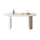 Contemporary White Standard Dining Table Kitchen Dining Table with Double Pedestal Bases Oval Stone Clearhalo ' dining_table' 'Dining Tables & Seating' 'Dining Tables' 'furn' 'furn_dining_table' 'Furniture' 'furniture_dining_table' 'Kitchen & Dining Furniture' 'kitchen&dining_furn' 'kitchen' 'kitchen_dining_table' 4331914