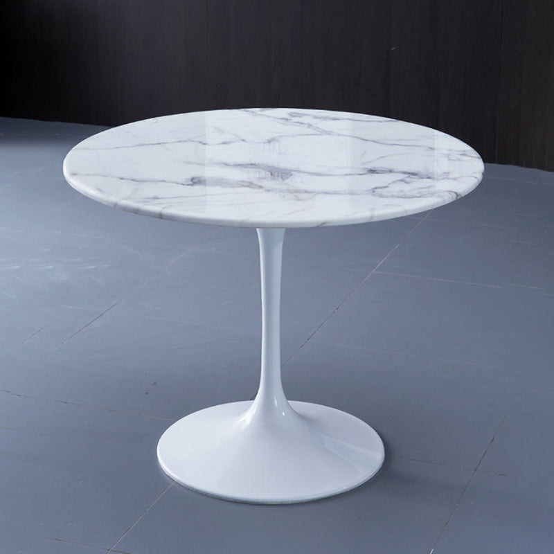 Modern 1/4/5 Pieces Sintered Stone Dining Set Dining Furniture Set /Separate Items Clearhalo 'Dining Room Sets' 'Dining Tables & Seating' 'dining_room_set' 'furn' 'furn_dining_room_set' 'Furniture' 'furniture_dining_room_set' 'Kitchen & Dining Furniture' 'kitchen&dining_furn' 'kitchen' 4332526