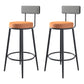 Modern Armless Backrest Counter Stool Iron Household Bar Stool with Cushion and Pedal Orange 2 Piece Set Clearhalo 'Bar Furniture' 'Bar Stools' 'bar_stools' 'furn' 'furn_bar_stools' 'furniture_bar_stools' 'Kitchen & Dining Furniture' 'kitchen&dining_furn' 'kitchen' 'kitchen_furn' Furniture' 4335234