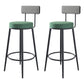 Modern Armless Backrest Counter Stool Iron Household Bar Stool with Cushion and Pedal 2 Piece Set Clearhalo 'Bar Furniture' 'Bar Stools' 'bar_stools' 'furn' 'furn_bar_stools' 'furniture_bar_stools' 'Kitchen & Dining Furniture' 'kitchen&dining_furn' 'kitchen' 'kitchen_furn' Furniture' 4335238