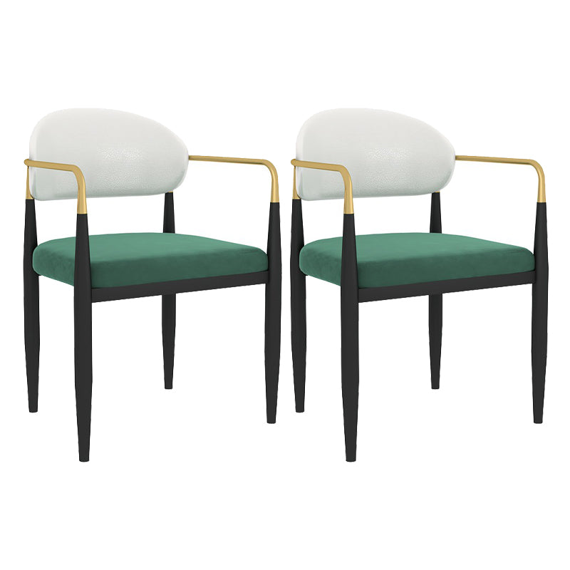 Designer Style Dining Arm Chair Upholstered Matte Finish Open Back Dining Chair White-Green 2 Piece Set Clearhalo ' kitchen&dining_furn' 'Dining Chairs' 'Dining Tables & Seating' 'dining_chair' 'furn' 'furn_dining_chair' 'Furniture' 'furniture_dining_chair' 'Kitchen & Dining Furniture' 'kitchen' 4343532
