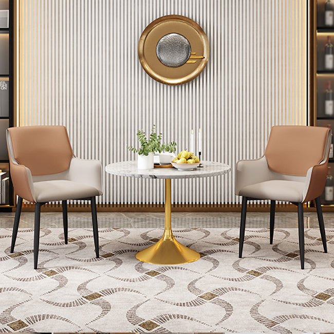 Scandinavian Home Arm Chair Metal Solid Back Upholstered Dining Room Chair Clearhalo ' kitchen&dining_furn' 'Dining Chairs' 'Dining Tables & Seating' 'dining_chair' 'furn' 'furn_dining_chair' 'Furniture' 'furniture_dining_chair' 'Kitchen & Dining Furniture' 'kitchen' 4344233