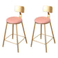Glam Metal Upholstered Bar Stool Indoor Barstool with Iron Legs and Low Back,Cushion Pink 2 Piece Set Non-Upholstered Clearhalo 'Bar Furniture' 'Bar Stools' 'bar_stools' 'furn' 'furn_bar_stools' 'furniture_bar_stools' 'Kitchen & Dining Furniture' 'kitchen&dining_furn' 'kitchen' 'kitchen_furn' Furniture' 4344333