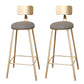 Glam Metal Upholstered Bar Stool Indoor Barstool with Iron Legs and Low Back,Cushion Gray 2 Piece Set Non-Upholstered Clearhalo 'Bar Furniture' 'Bar Stools' 'bar_stools' 'furn' 'furn_bar_stools' 'furniture_bar_stools' 'Kitchen & Dining Furniture' 'kitchen&dining_furn' 'kitchen' 'kitchen_furn' Furniture' 4344337