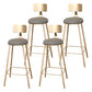 Glam Metal Upholstered Bar Stool Indoor Barstool with Iron Legs and Low Back,Cushion Gray 4 Piece Set Non-Upholstered Clearhalo 'Bar Furniture' 'Bar Stools' 'bar_stools' 'furn' 'furn_bar_stools' 'furniture_bar_stools' 'Kitchen & Dining Furniture' 'kitchen&dining_furn' 'kitchen' 'kitchen_furn' Furniture' 4344338