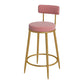 Glam Metal Upholstered Bar Stool Bristol Barstool with Iron Legs and Low Cushion Back Pink Gold 1 Piece Clearhalo 'Bar Furniture' 'Bar Stools' 'bar_stools' 'furn' 'furn_bar_stools' 'furniture_bar_stools' 'Kitchen & Dining Furniture' 'kitchen&dining_furn' 'kitchen' 'kitchen_furn' Furniture' 4344531