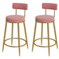 Glam Metal Upholstered Bar Stool Bristol Barstool with Iron Legs and Low Cushion Back Pink Gold 2 Piece Set Clearhalo 'Bar Furniture' 'Bar Stools' 'bar_stools' 'furn' 'furn_bar_stools' 'furniture_bar_stools' 'Kitchen & Dining Furniture' 'kitchen&dining_furn' 'kitchen' 'kitchen_furn' Furniture' 4344556