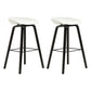 Modern Beech Bar Stool Backrest Bucket Counter Height Stool with Plastic Seat Black White 2 Piece Set Clearhalo 'Bar Furniture' 'Bar Stools' 'bar_stools' 'furn' 'furn_bar_stools' 'furniture_bar_stools' 'Kitchen & Dining Furniture' 'kitchen&dining_furn' 'kitchen' 'kitchen_furn' Furniture' 4344884