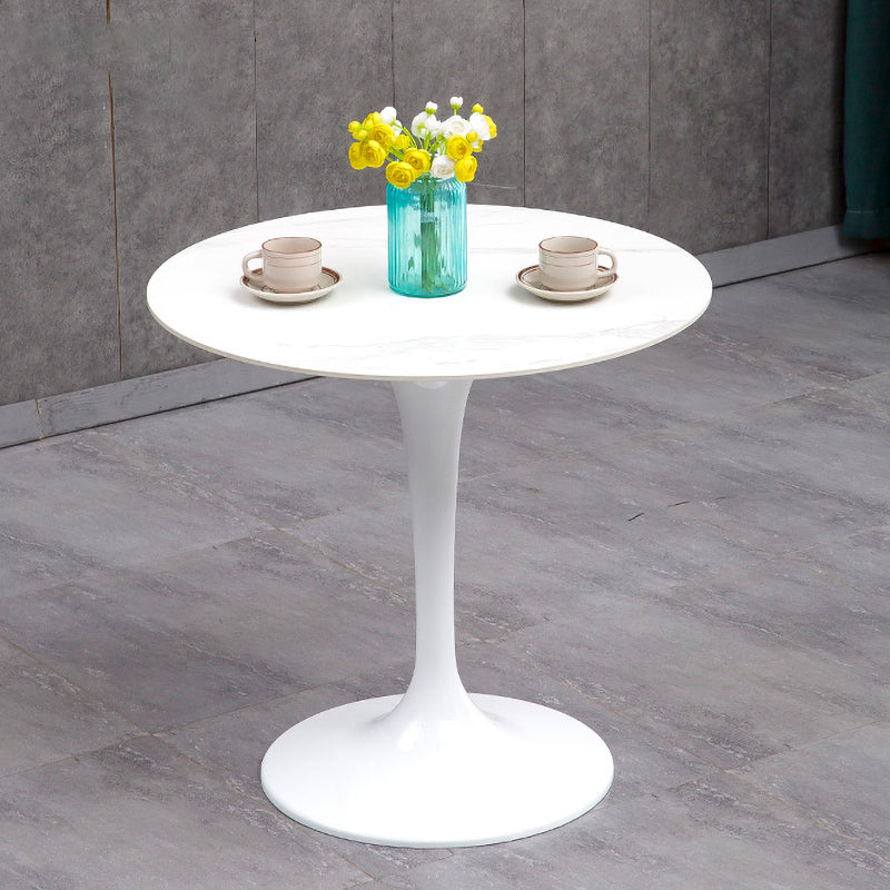 Modern Sintered Stone Dining Room Set 1/2/3/4/5 Pieces Dining Set /Separate Items White 31"L x 31"W Clearhalo 'Dining Room Sets' 'Dining Tables & Seating' 'dining_room_set' 'furn' 'furn_dining_room_set' 'Furniture' 'furniture_dining_room_set' 'Kitchen & Dining Furniture' 'kitchen&dining_furn' 'kitchen' 4346397