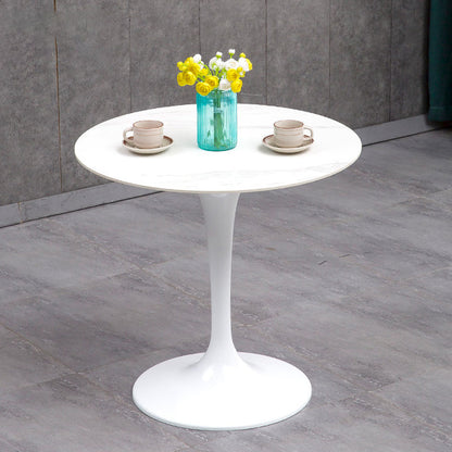 Modern Sintered Stone Dining Room Set 1/2/3/4/5 Pieces Dining Set /Separate Items White 31"L x 31"W Clearhalo 'Dining Room Sets' 'Dining Tables & Seating' 'dining_room_set' 'furn' 'furn_dining_room_set' 'Furniture' 'furniture_dining_room_set' 'Kitchen & Dining Furniture' 'kitchen&dining_furn' 'kitchen' 4346397