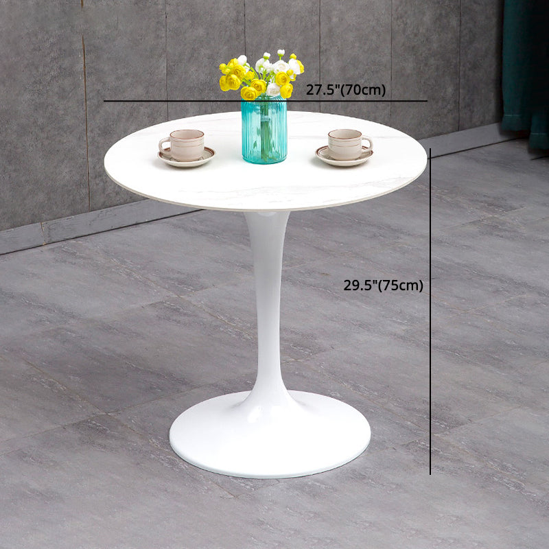 Modern Sintered Stone Dining Room Set 1/2/3/4/5 Pieces Dining Set /Separate Items Clearhalo 'Dining Room Sets' 'Dining Tables & Seating' 'dining_room_set' 'furn' 'furn_dining_room_set' 'Furniture' 'furniture_dining_room_set' 'Kitchen & Dining Furniture' 'kitchen&dining_furn' 'kitchen' 4346409
