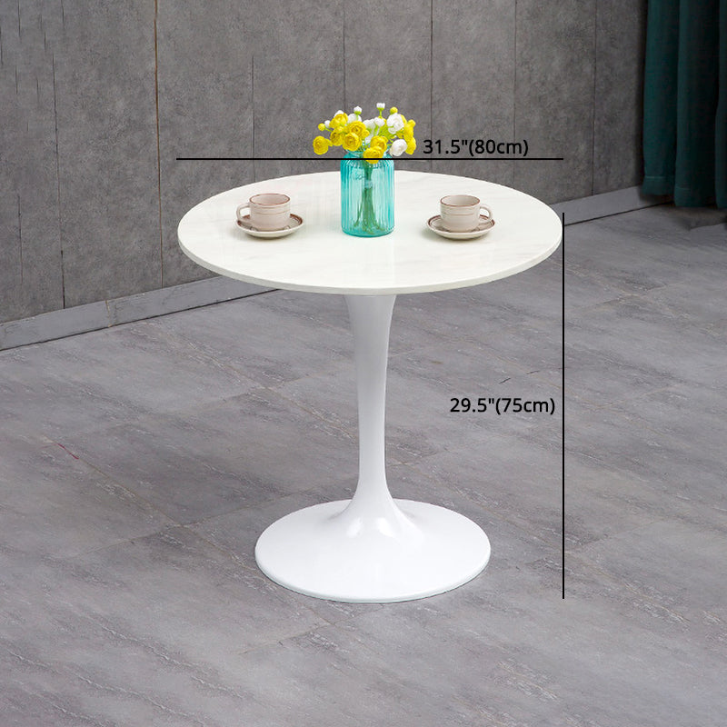 Modern Sintered Stone Dining Room Set 1/2/3/4/5 Pieces Dining Set /Separate Items Clearhalo 'Dining Room Sets' 'Dining Tables & Seating' 'dining_room_set' 'furn' 'furn_dining_room_set' 'Furniture' 'furniture_dining_room_set' 'Kitchen & Dining Furniture' 'kitchen&dining_furn' 'kitchen' 4346417